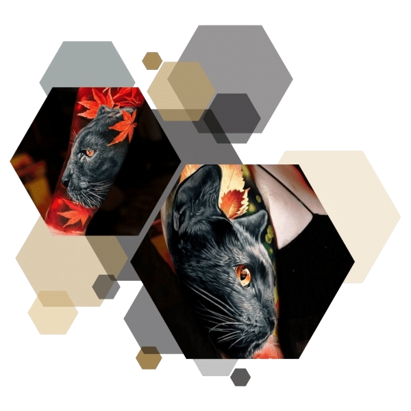 Bosphorus Ink ekibine katılmak için başvuru yapan sanatçı adayı