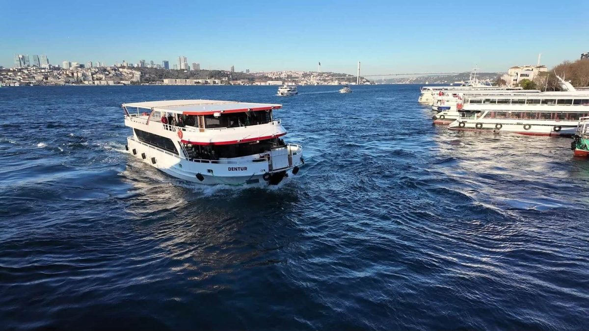 Istanbul Bosphorus ferry by day – travel and tattoo planning in Istanbul