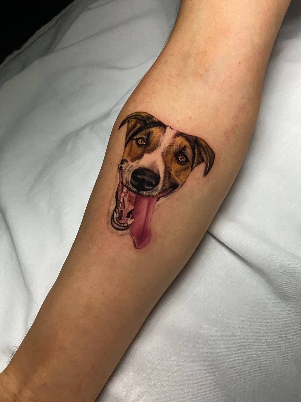 Farbiges Realistic-Hundeportrait-Tattoo mit fröhlichem Ausdruck am Unterarm