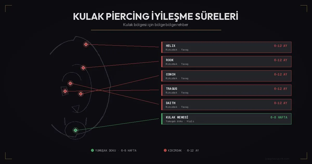 Kulak iyileşme süreci süreleri - bölge bölge rehber