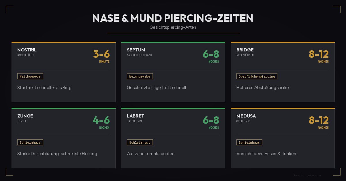 Nase und Mund Piercing Heilungszeiten Infografik