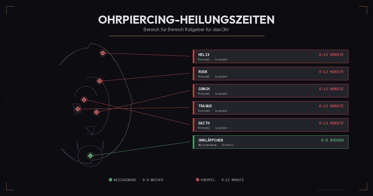 Ohrpiercing Heilungszeiten nach Bereich - vollständiger Ratgeber