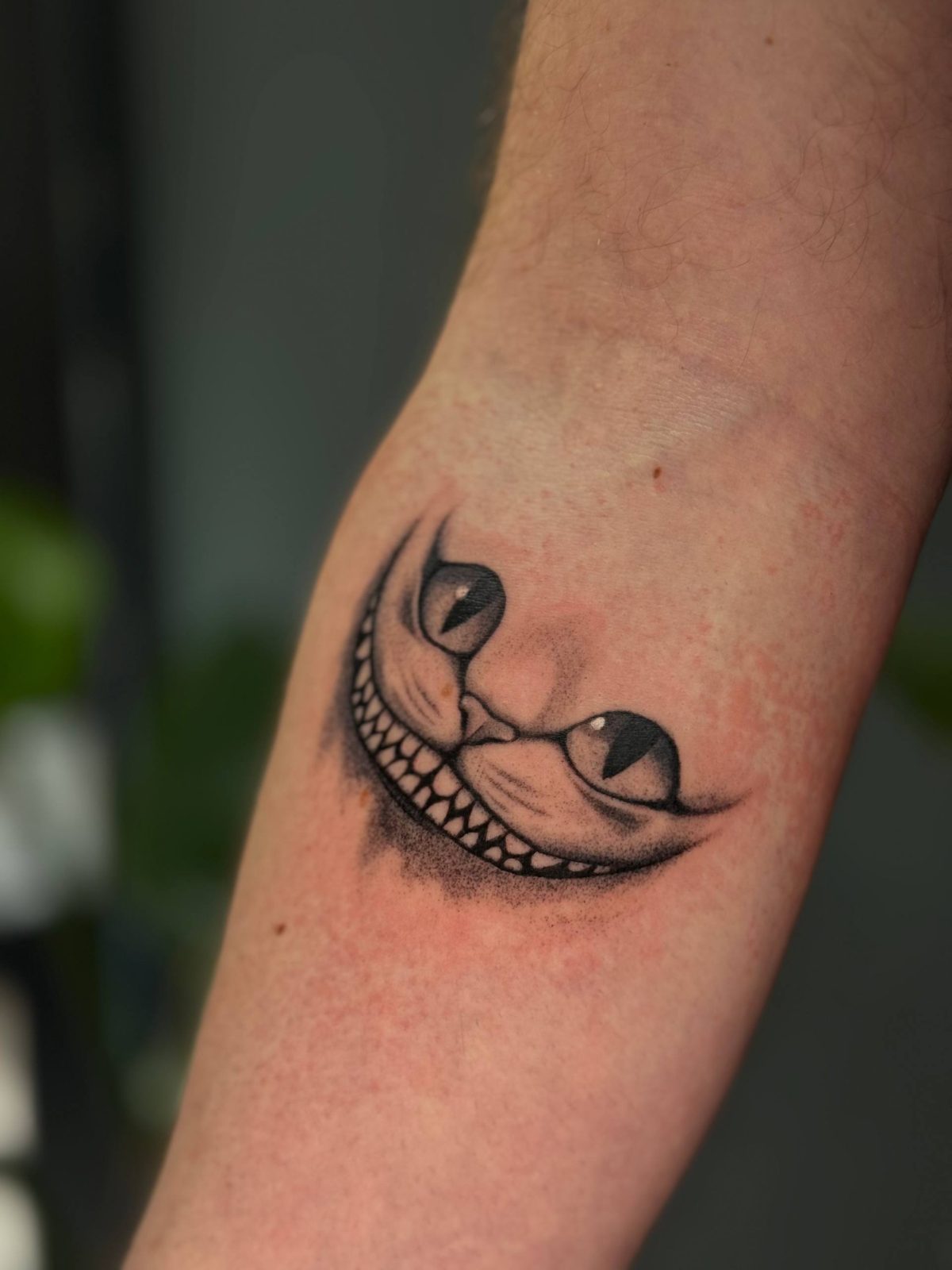 Cheshire Katze Fineline Unterarm Tattoo Istanbul - Tattoo · Rıdvan | Bosphorus Ink Portfolio