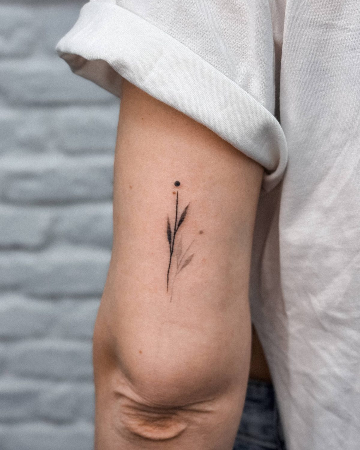 Minimales Gras Botanisches Arm Tattoo Istanbul - Tattoo · Rıdvan | Bosphorus Ink Portfolio
