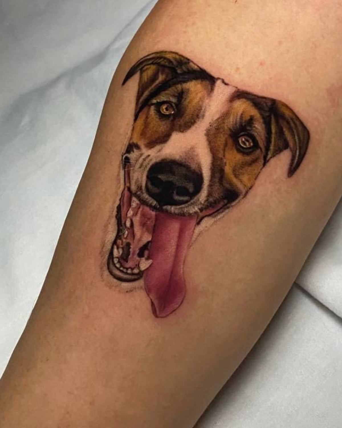 Colorful Dog Portrait | Tattoo Istanbul | Bosphorus Ink - Tattoo | Bosphorus Ink Portfolio