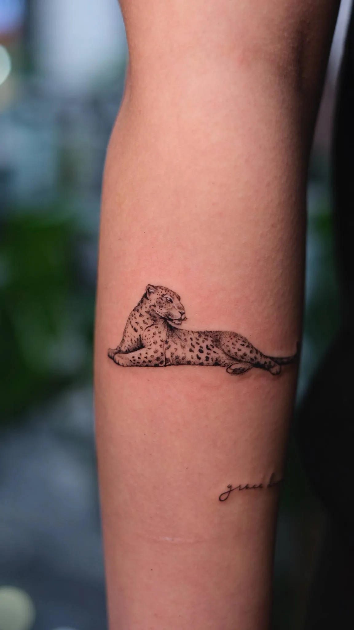 Minimaler Tiger Tattoo Istanbul | Bosphorus Ink - Tattoo | Bosphorus Ink Portfolio