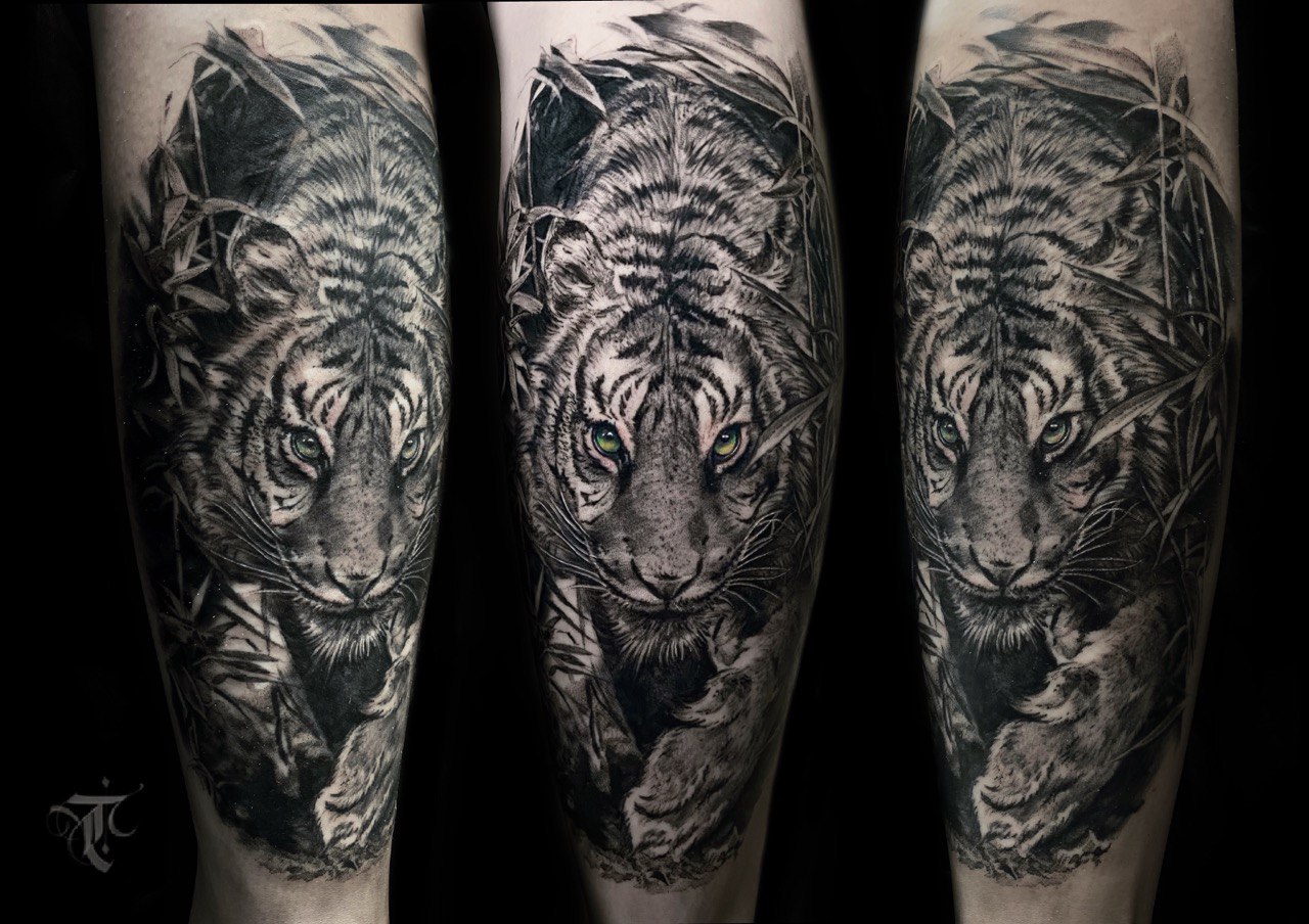 Blackwork Tiger Sleeve Arm Tattoo | Istanbul