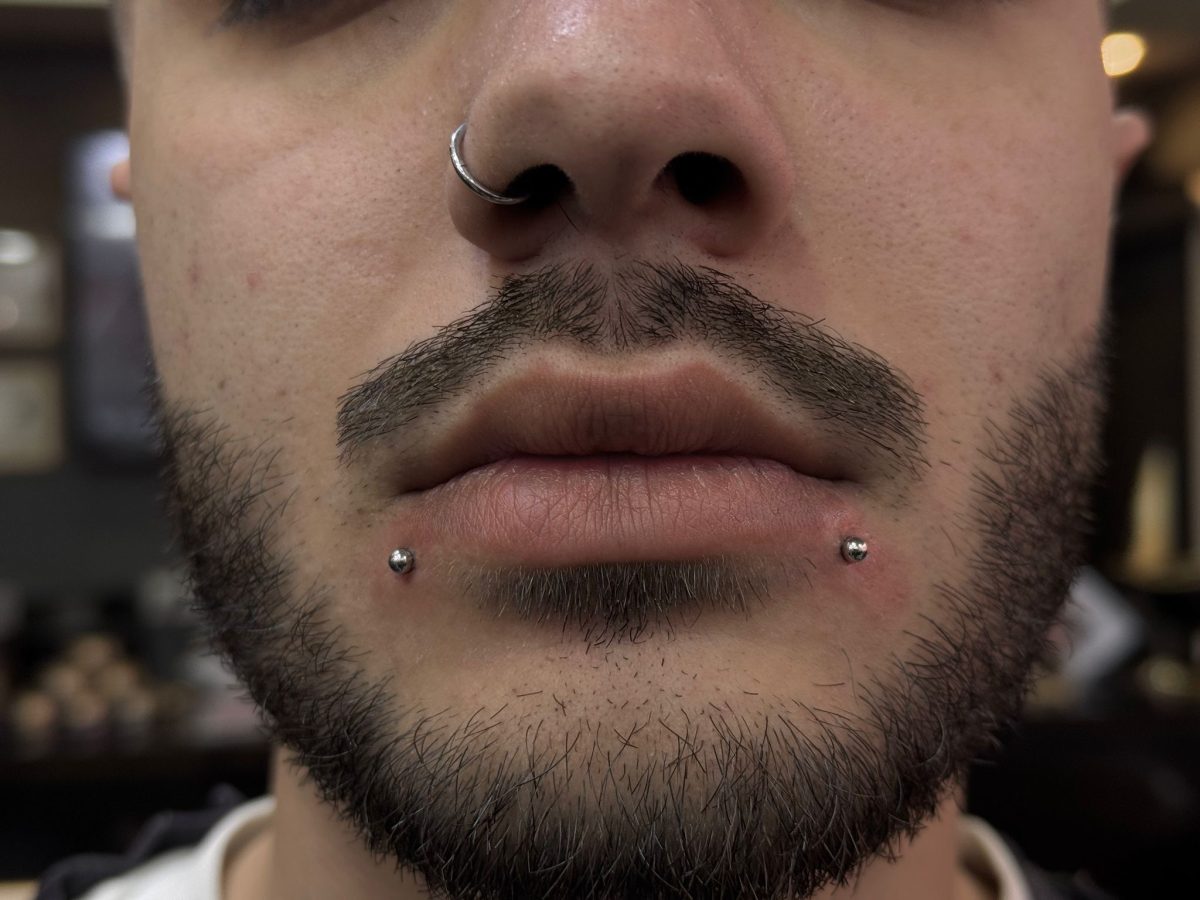 Septum und Snake Bites Piercing Kombination | Bosphorus Ink - Piercing · Gizem | Bosphorus Ink Portfolio