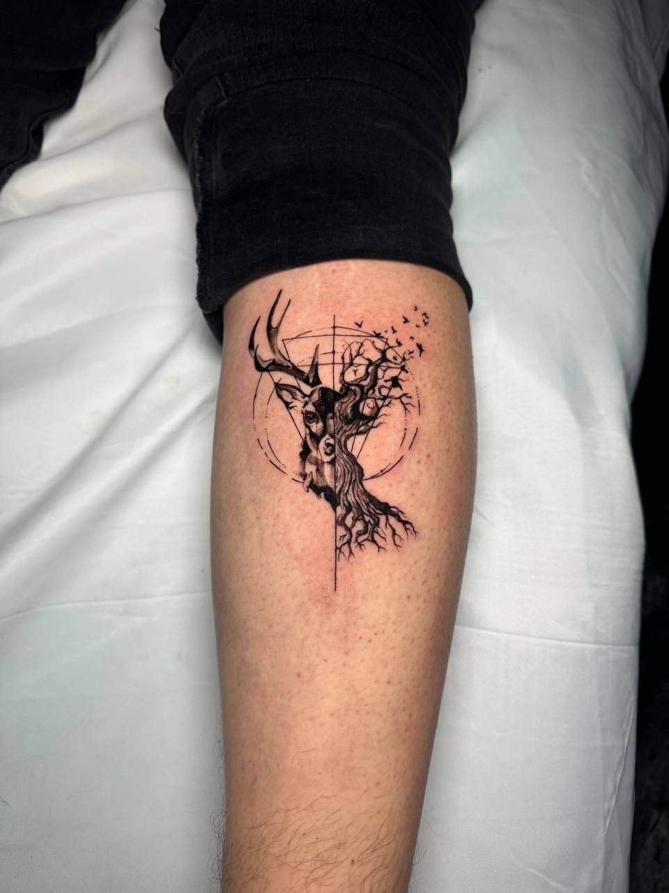 Fine Line Stag Forearm Tattoo