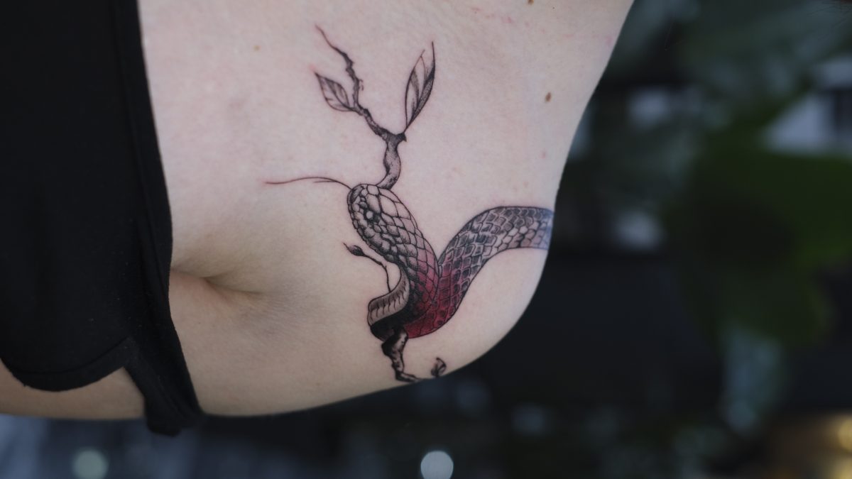 Yılan ve Dal Kırmızı Siyah Yan Dövme İstanbul | Bosphorus Ink - Tattoo · Sude | Bosphorus Ink Portfolio