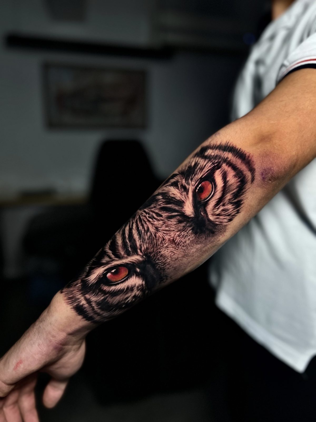 Tigeraugen Nahaufnahme Unterarm Tattoo | Bosphorus Ink - Tattoo · Melike | Bosphorus Ink Portfolio