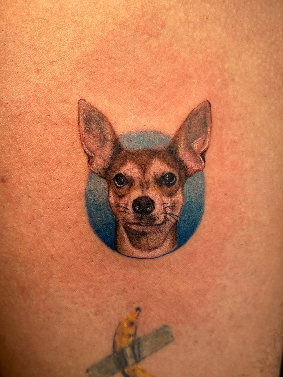 Chihuahua-Porträt Rundtattoo am Arm | Mikro-Realismus Istanbul - Tattoo | Bosphorus Ink Portfolio