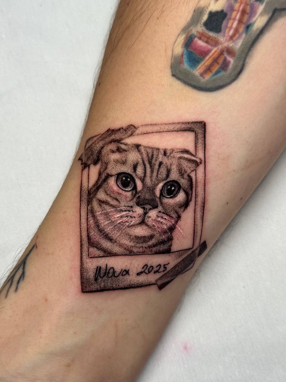 Framed Cat Portrait Arm Tattoo | Micro Realism Istanbul 2