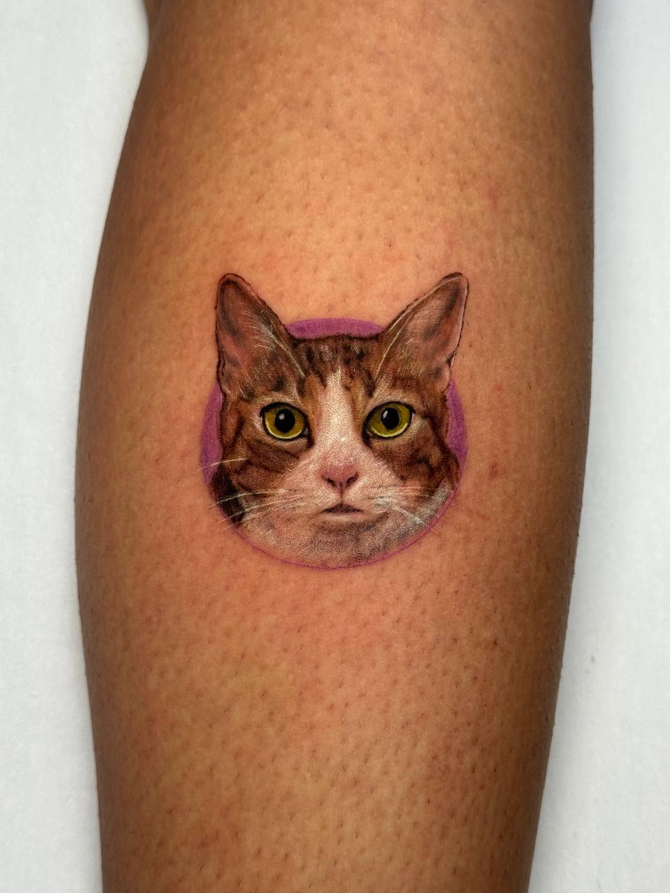 Realistisches Katzenporträt Wadentattoo | Buntes Mikro-Realismus Istanbul - Tattoo | Bosphorus Ink Portfolio