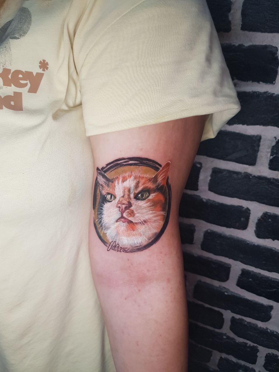Katzen-Porträt Rundrahmen Armtattoo | Mikro-Realismus Istanbul - Tattoo | Bosphorus Ink Portfolio