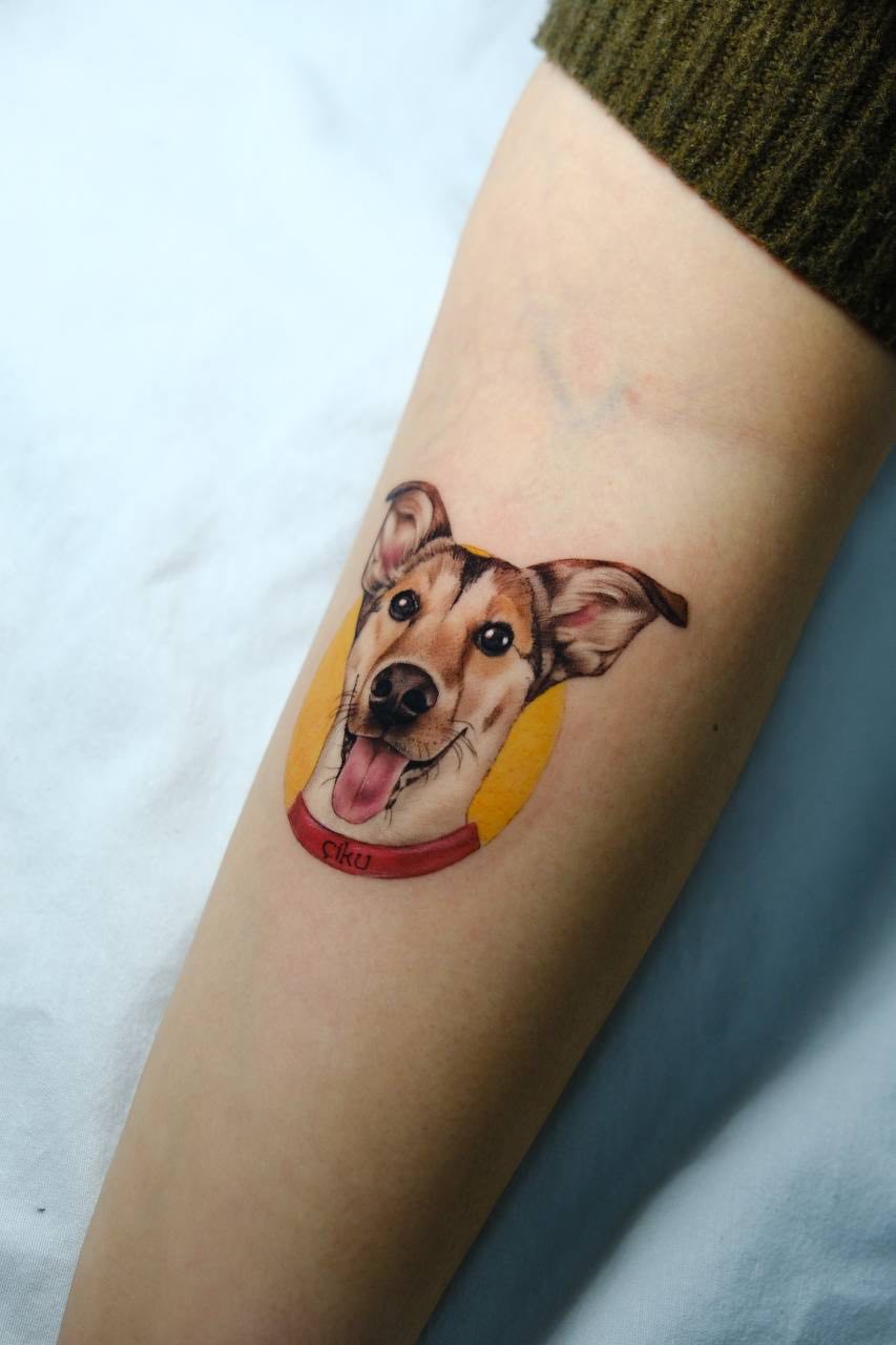 Realistisches Hunde-Porträt Armtattoo | Buntes Mikro-Realismus Istanbul - Tattoo | Bosphorus Ink Portfolio