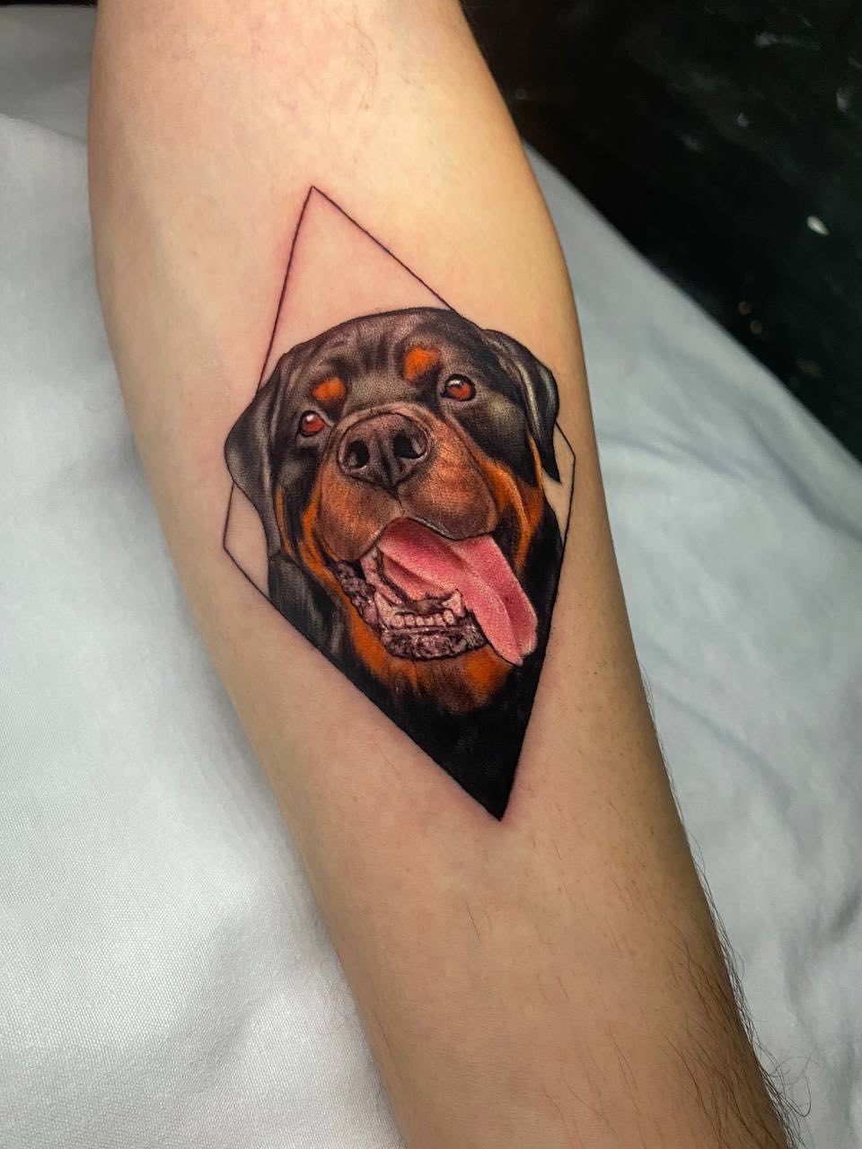 Rottweiler-Porträt Dreieck-Rahmen Armtattoo | Mikro-Realismus Istanbul - Tattoo | Bosphorus Ink Portfolio