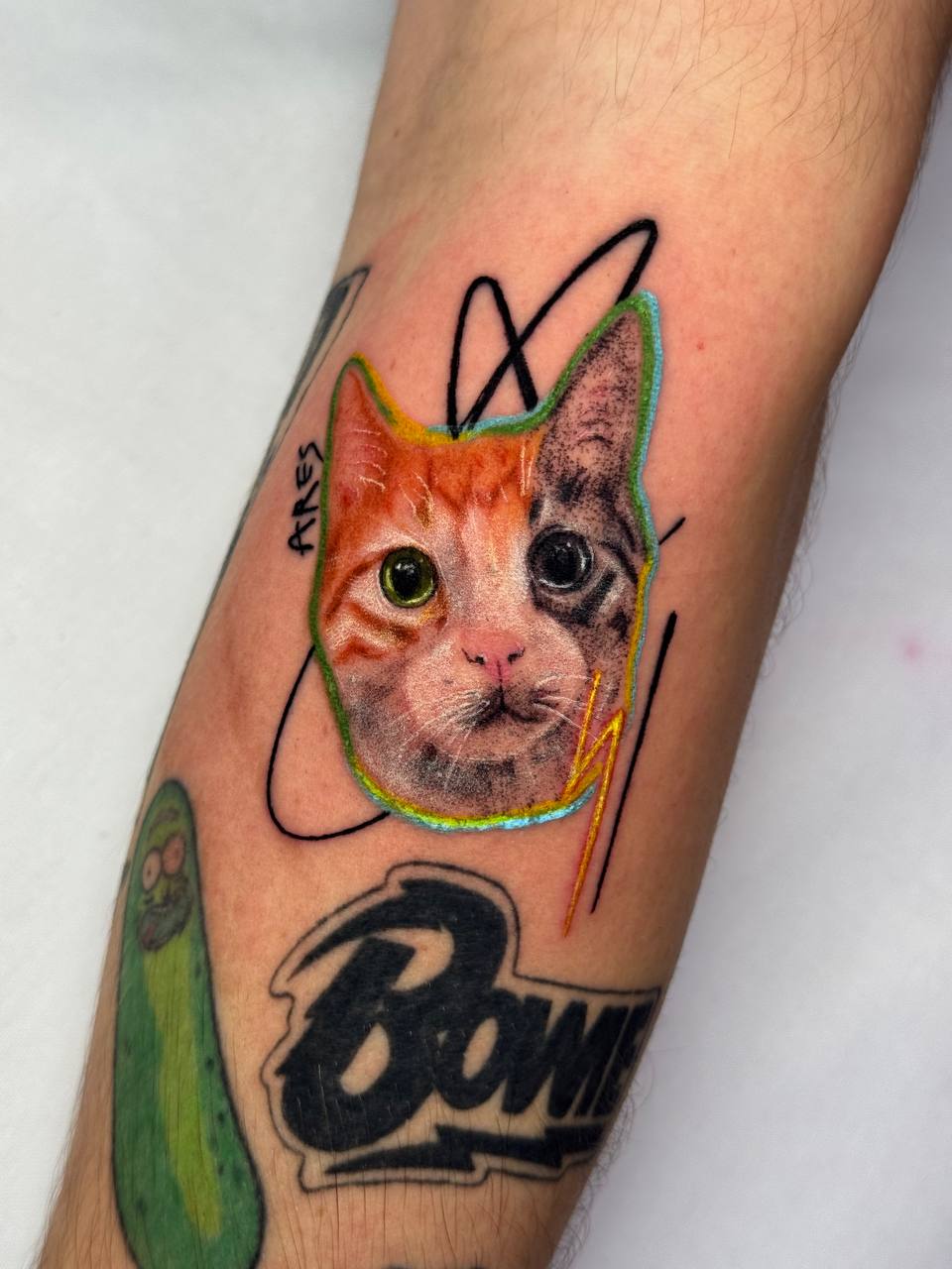 Orange Cat Portrait Arm Tattoo | Micro Realism Istanbul
