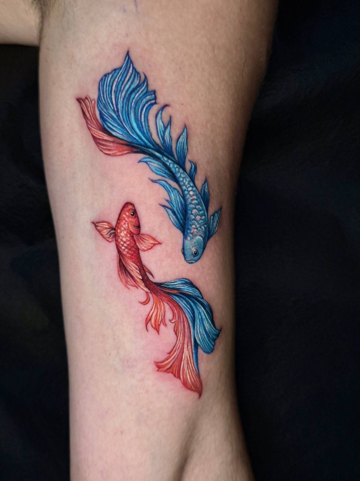 Buntes Koi-Fisch-Armtattoo | Istanbul 2 - Farbiges Tattoo | Bosphorus Ink Portfolio