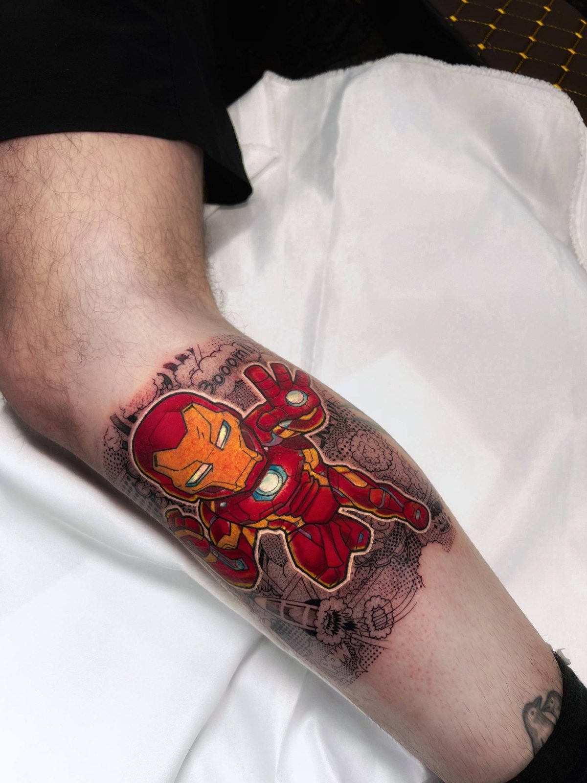 Buntes-New-School-Phönix-Armtattoo | Istanbul - Farbiges Tattoo | Bosphorus Ink Portfolio