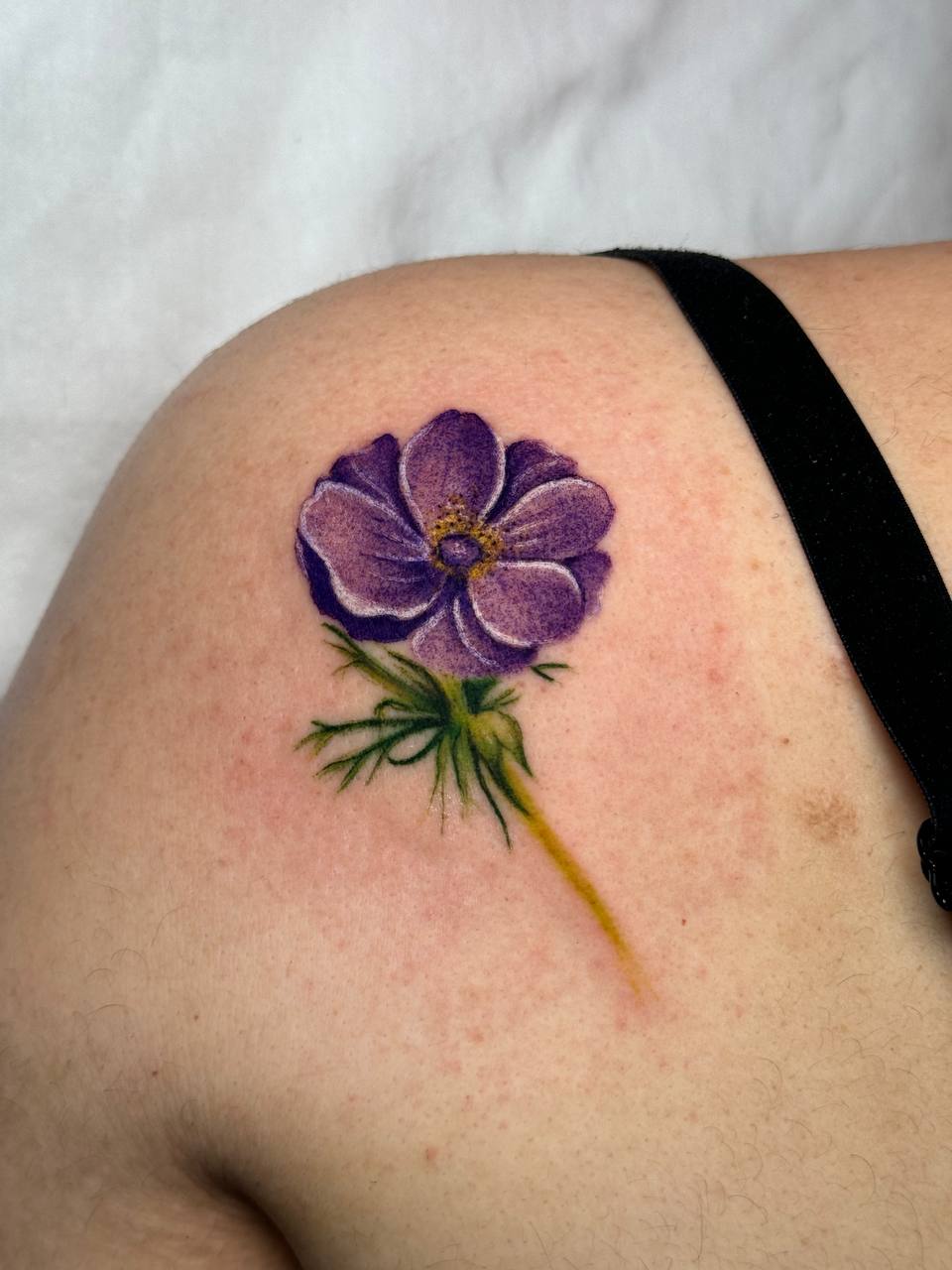 Watercolor Anemone Flower Shoulder Tattoo | Istanbul