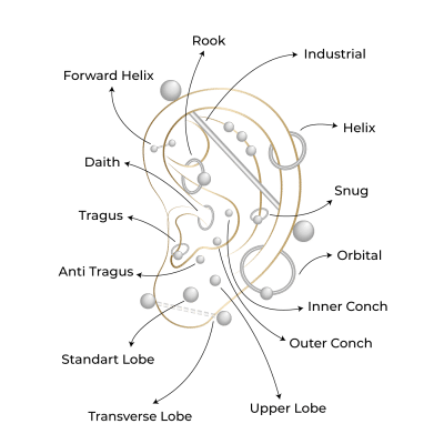 Bosphorus Ink'te titanyum takı ile profesyonel piercing uygulaması